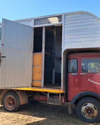 Camion trasporto animali