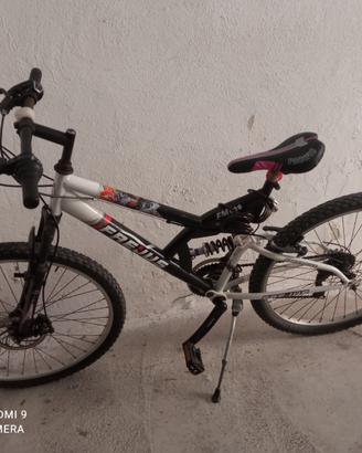 montain bike frejus