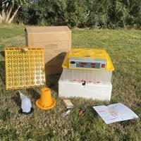 INCUBATRICE NUOVA 56 POSTI UOVA GALLINE AUTOMATICA