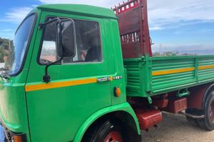 Camion 80f13