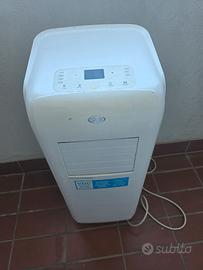 pinguino condizionatore argo