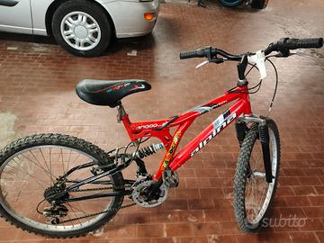Mountain bike 24