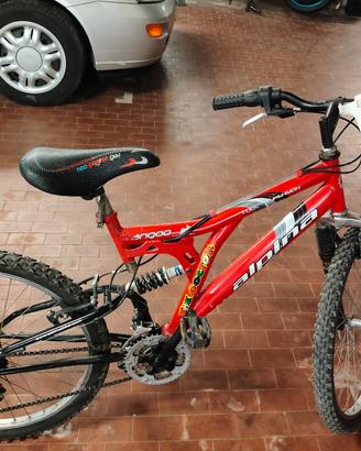 Mountain bike 24