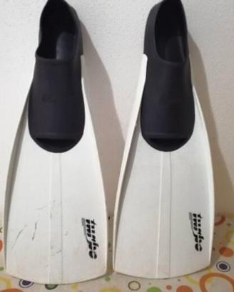 Pinne per il mare Francis