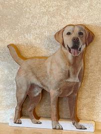 Labrador