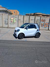 Smart For Two Passion