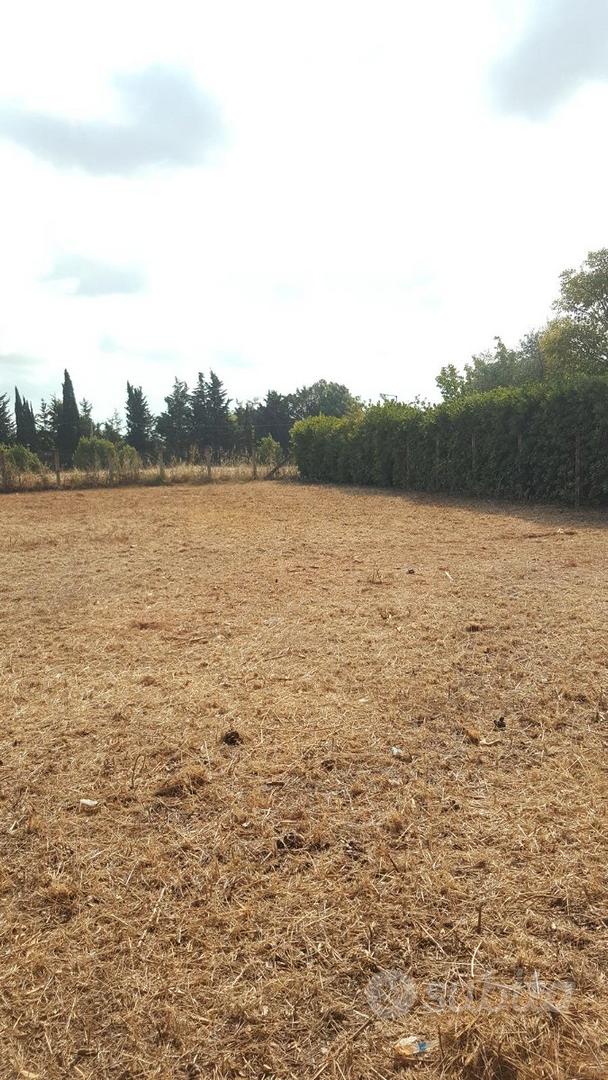 Terreno a 200m dal mare - Tarquinia loc. S. Giorgi - Vista 2