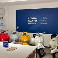 collezione privata vespe