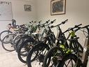 attivita-di-noleggio-bici