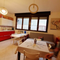 Camera singola in appartamento dal 2026