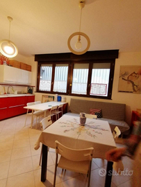 Camera singola in appartamento dal 2026