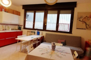 Camera singola in appartamento dal 2026