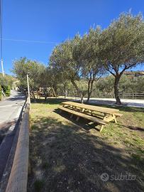 APPARTAMENTO CON GIARDINO 800 metri dal MARE