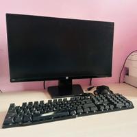 Set PC completo(Monitor HP + Mouse + Tastiera LED)