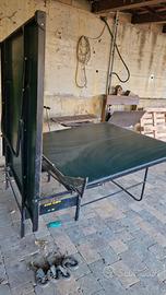Ping pong