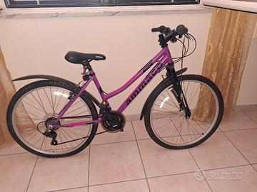 mountain bike 