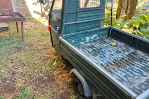 ape 50