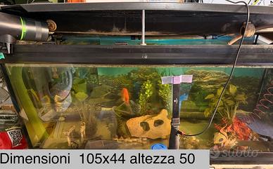 Acquario 150 litri completo di accessori funziona