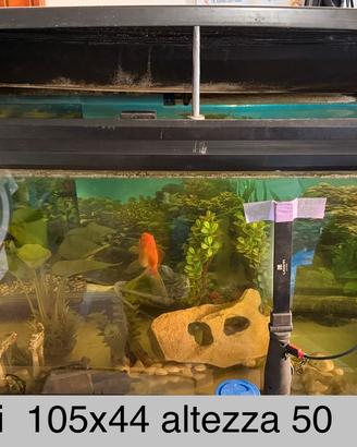 Acquario 150 litri completo di accessori funziona