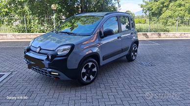 Panda cross