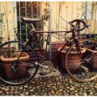 Splendida bici da corsa Vintage