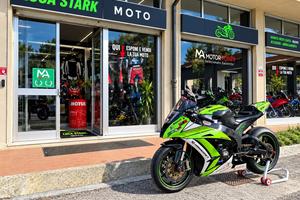 Kawasaki Ninja 1000 ZX-10R