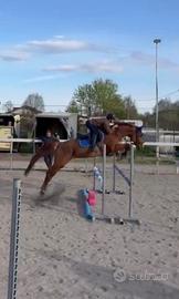 Psi femmina da salto