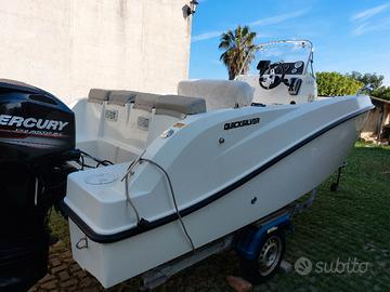 barca quicksilver 505