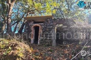 Terreno 3.700 mq a linguaglossa