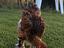 Immagine 5