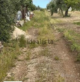 Albano laziale in via ardeatina terreno di MQ16000