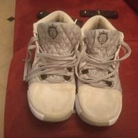 Nike LeBron witness basket