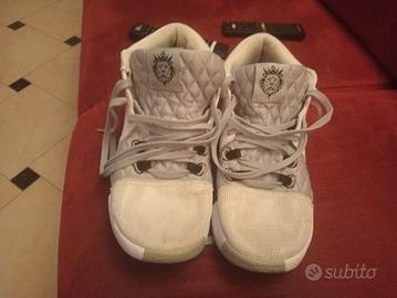 Nike LeBron witness basket