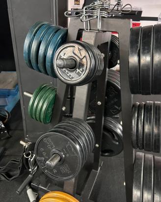 Dischi e bilancieri da 25mm