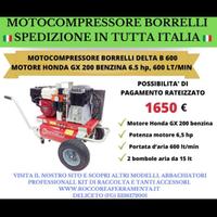 RACCOLTA OLIVE 2025