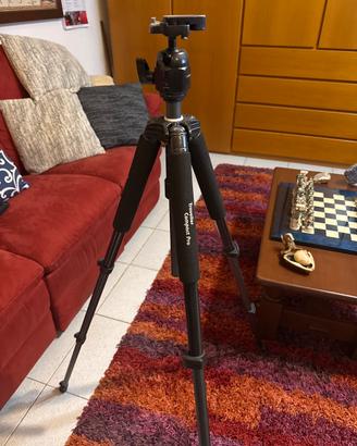 Hama traveller compact pro