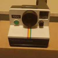 Polaroid 1000 anni 80