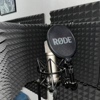 RØDE NT1 5th Gen Silver