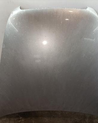 COFANO ANTERIORE AUDI A6 Berlina Serie C6 (4F2) 4F