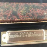 Armonica Cromatica Yamaha Butterfly Fatto Giappone