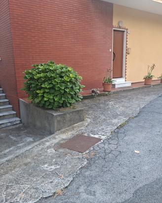 Appartamento semindipendente