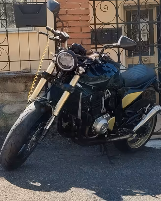 Kawasaki Z1000 Sport & cafe racer