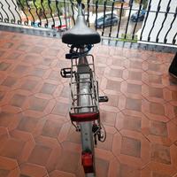 Bici maschile e femminile 