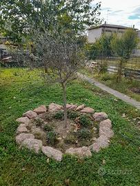 rivestimento pietre  rosa x abbellire il giardino 