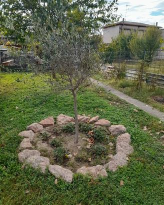 rivestimento pietre  rosa x abbellire il giardino 