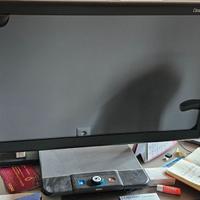 Videoingranditore elettronico