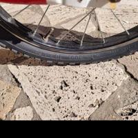 Bici bambino