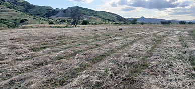 Terreno Agricolo ha 4 tra Pisticci e Montalbano