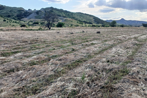 Terreno Agricolo ha 4 tra Pisticci e Montalbano