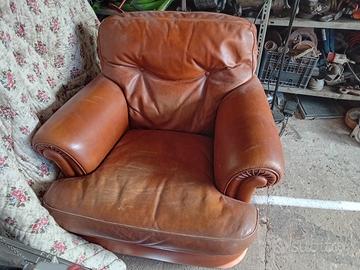 coppia poltrone Frau 